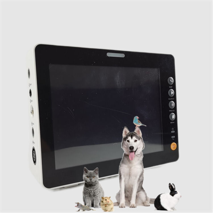 Monitor dei segni vitali da 8 pollici resistente per cani, gatti e pecore, di eccellente qualità
