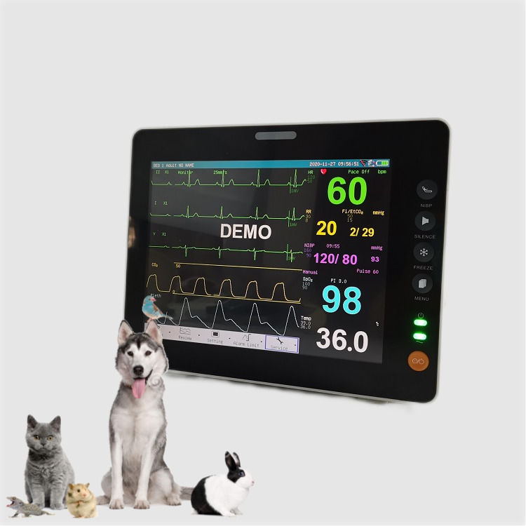 Monitor di segni vitali da 8 pollici Display TFT di mini dimensioni durevole Monitor di animali portatili veterinari