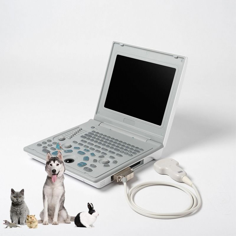 Ecografo Lineare Diagnostico Esterno Ospedaliero per Cani, Ecografo per Cani, Computer Portatile, Ecografo per Gravidanza di Mucche, Scanner per Pecore