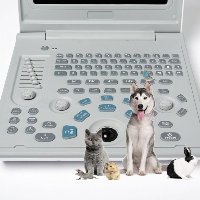 Ecografo Lineare Diagnostico Esterno Ospedaliero per Cani, Ecografo per Cani, Computer Portatile, Ecografo per Gravidanza di Mucche, Scanner per Pecore
