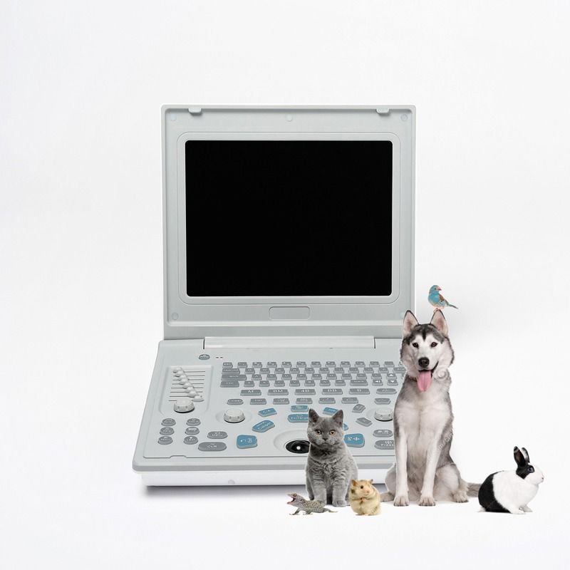 Ecografo Lineare Diagnostico Esterno Ospedaliero per Cani, Ecografo per Cani, Computer Portatile, Ecografo per Gravidanza di Mucche, Scanner per Pecore