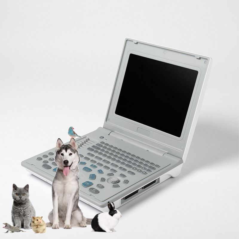 Ecografo Lineare Diagnostico Esterno Ospedaliero per Cani, Ecografo per Cani, Computer Portatile, Ecografo per Gravidanza di Mucche, Scanner per Pecore