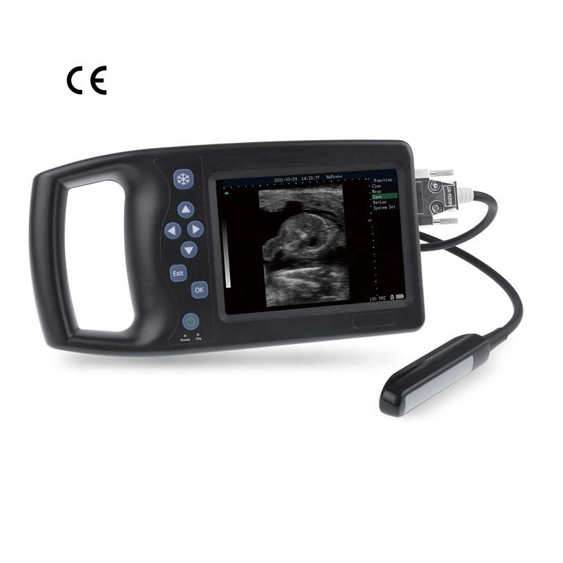 Dispositivo portatile per ultrasuoni veterinari per gatti in fila Testatore veterinario di gravidanza B Suino Pecora Cane Cavallo Scanner veterinario ad ultrasuoni