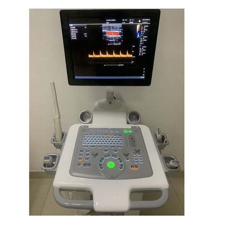 Cina Cart Digital Color Doppler Ultrasound Medical Ultrasound Machine Ultrasound Ospedale esterno