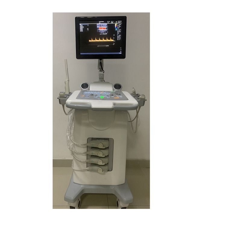 Cina Cart Digital Color Doppler Ultrasound Medical Ultrasound Machine Ultrasound Ospedale esterno