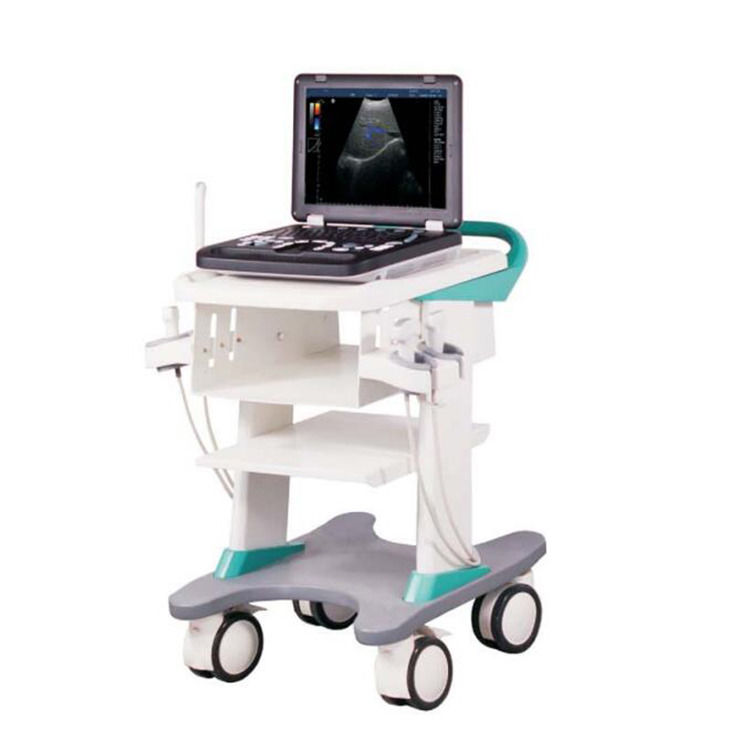 Ecografo a colori Doppler portatile con garanzia del 100%